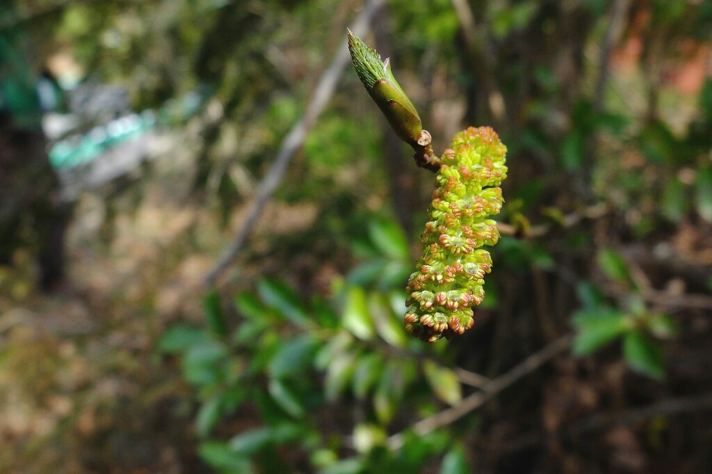 e0304001_21480149.jpg