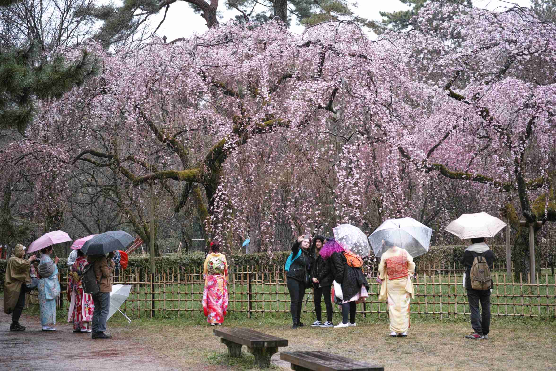 雨の日　Ⅰ_a0117507_19422487.jpg