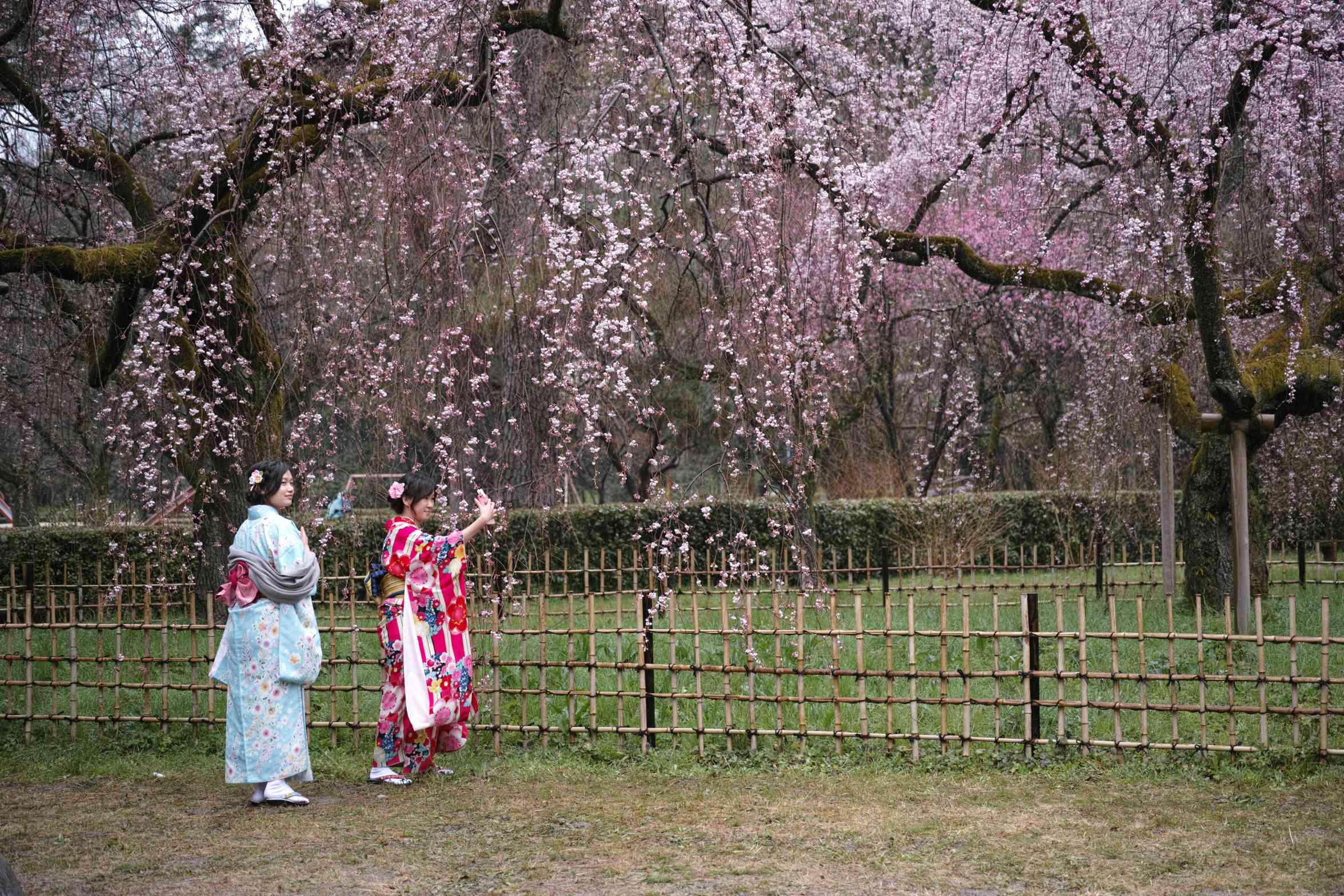 雨の日　Ⅰ_a0117507_1954428.jpg