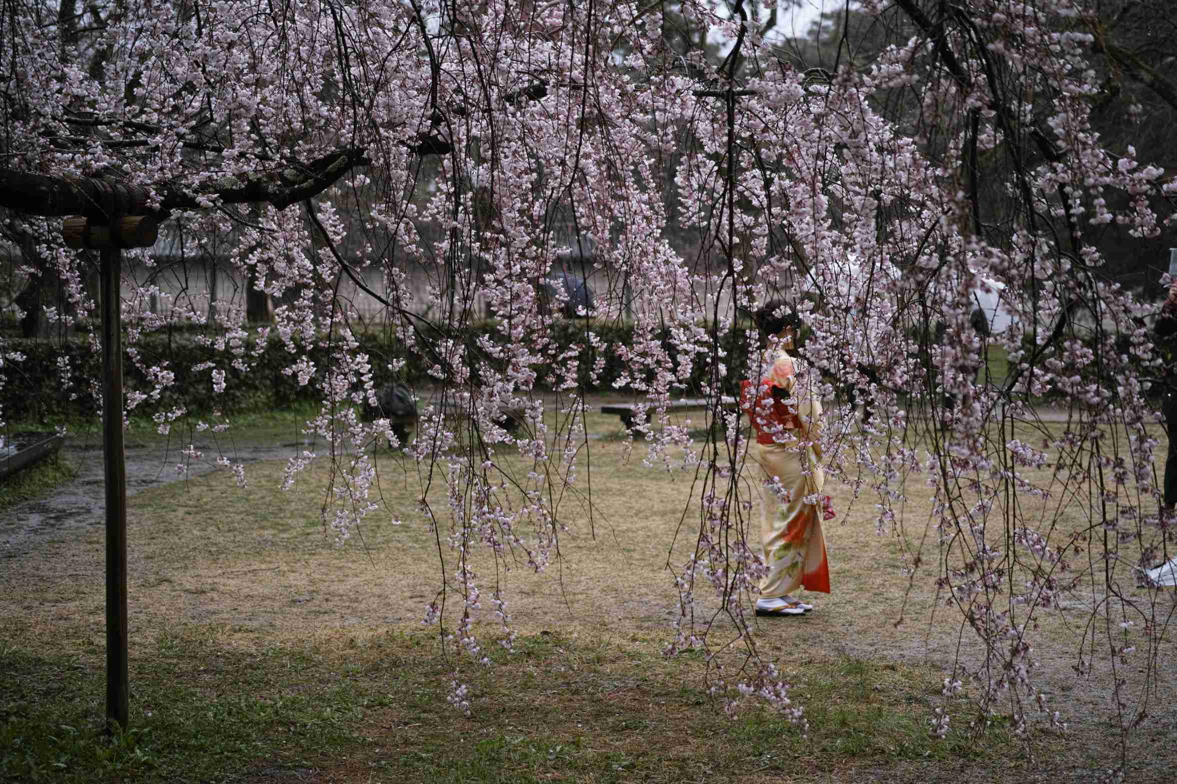 雨の日　Ⅰ_a0117507_19574188.jpg