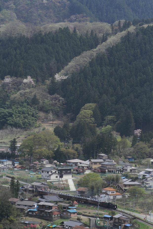 b0190710_22253207.jpg