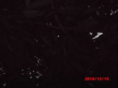 a0019212_19182972.jpg