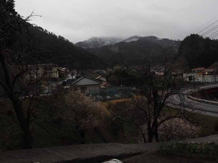 さぶやまに雪_c0116915_2292944.jpg