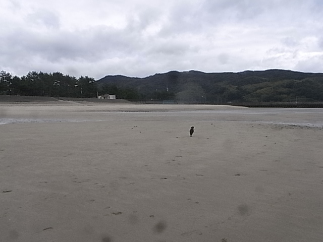 f0341616_16364171.jpg