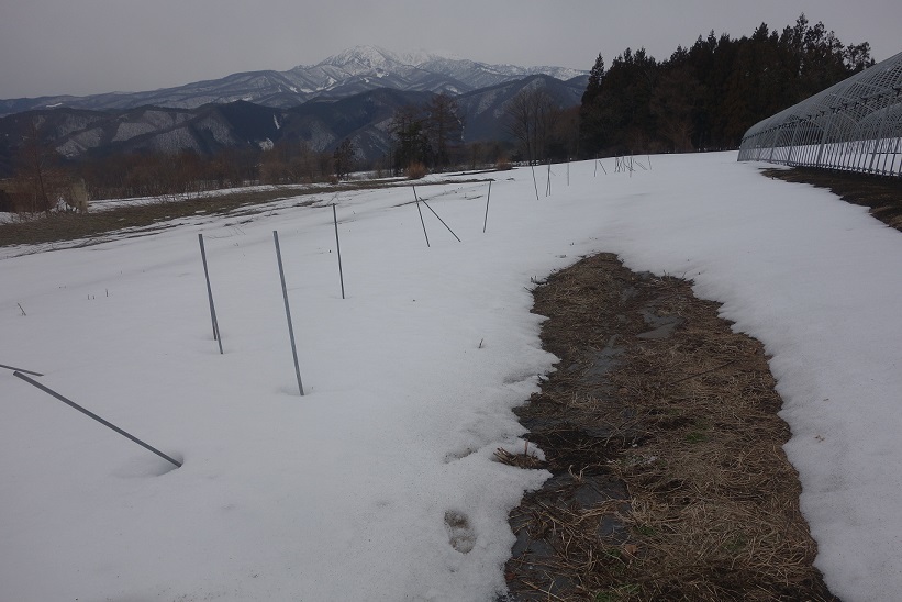 もう4月_e0112417_21240837.jpg