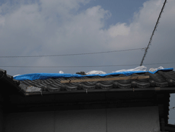 f0148619_10093799.gif