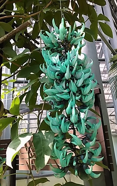 f0354923_20360481.jpg