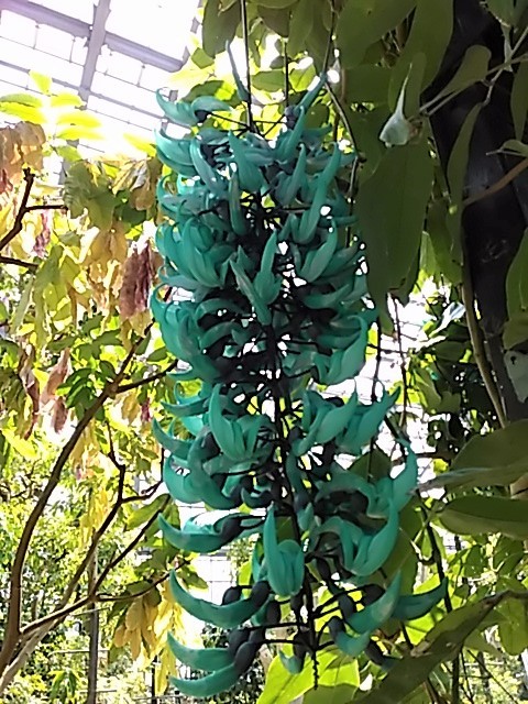 f0354923_20362892.jpg