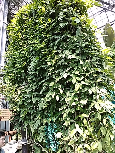 f0354923_20365121.jpg