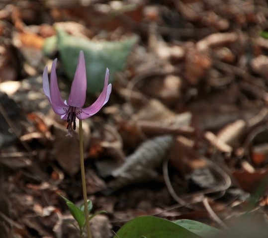 f0354923_21094844.jpg