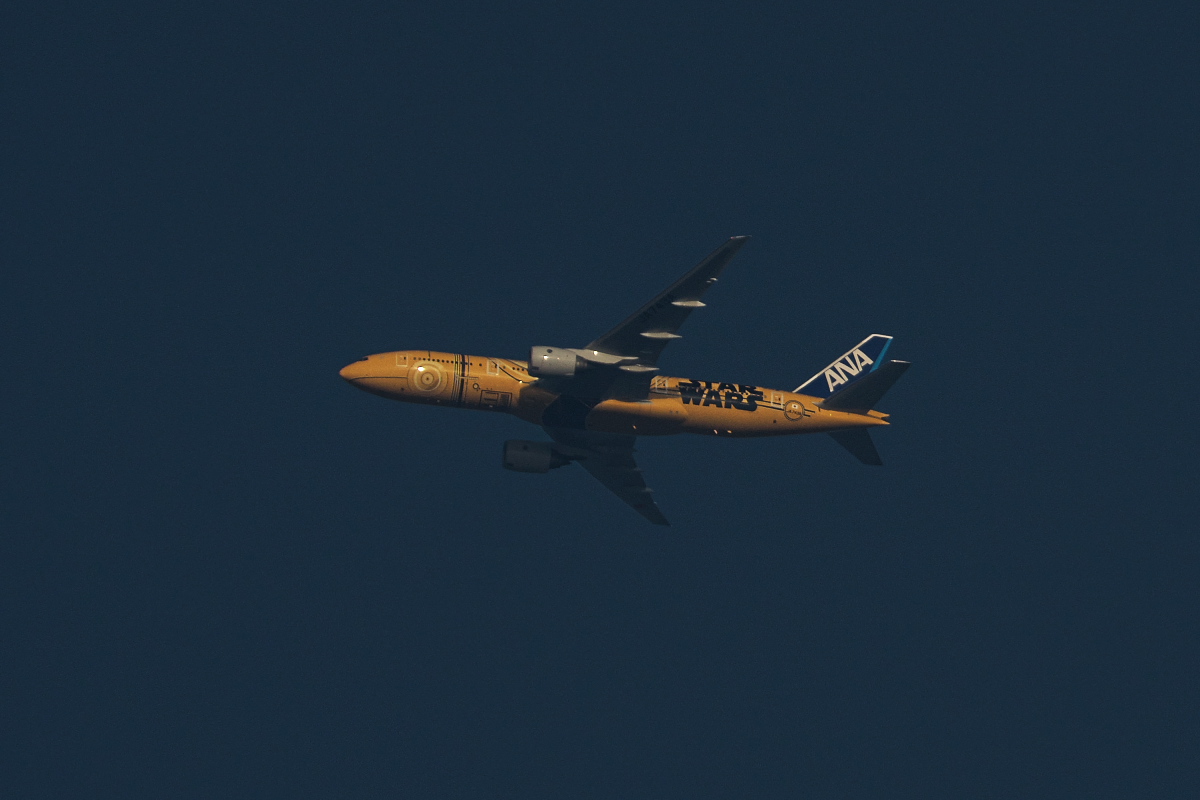 d0137627_0452765.jpg