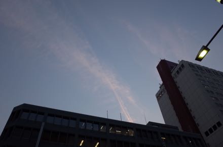 f0132230_1147584.jpg