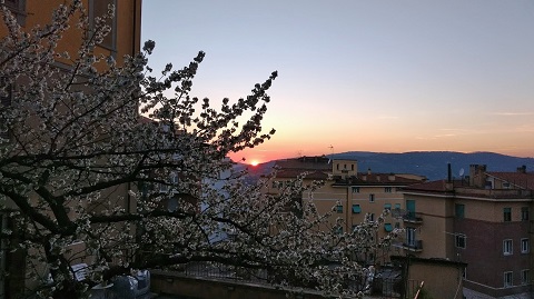 夕日と桜と充実の2日間_f0234936_7185917.jpg
