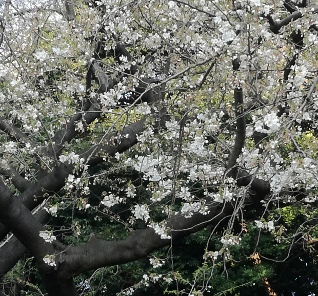 b0178339_09431944.jpg