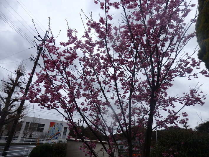 a0054240_22113659.jpg