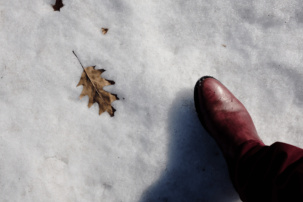 c0162846_2039118.gif