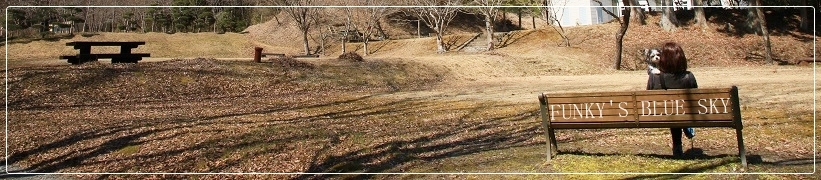 c0145250_20043429.jpg