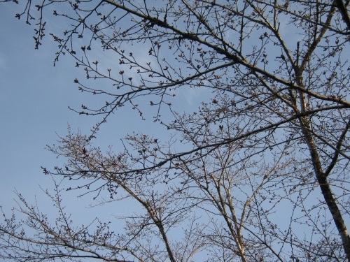 c0363752_14031106.jpg