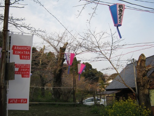 本日（３／３１）の鶴舞公園の桜の開花状況_c0363752_14031743.jpg