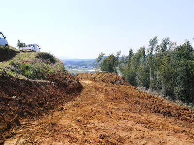 山鹿のみかん 社方園 山を開いて新たなみかんの果樹を植える!夢を追う匠の話!(その1)_a0254656_18262373.jpg