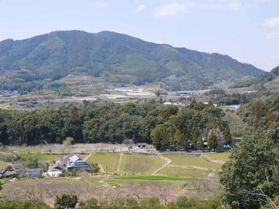 山鹿のみかん 社方園 山を開いて新たなみかんの果樹を植える!夢を追う匠の話!(その1)_a0254656_19313782.jpg