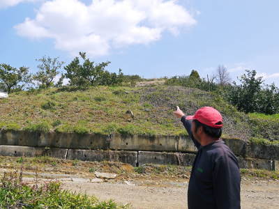 山鹿のみかん 社方園 山を開いて新たなみかんの果樹を植える!夢を追う匠の話!(その1)_a0254656_19373850.jpg