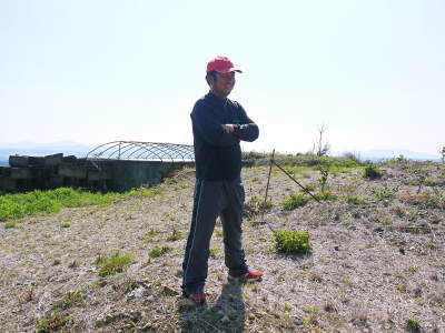 山鹿のみかん 社方園 山を開いて新たなみかんの果樹を植える!夢を追う匠の話!(その1)_a0254656_19445261.jpg