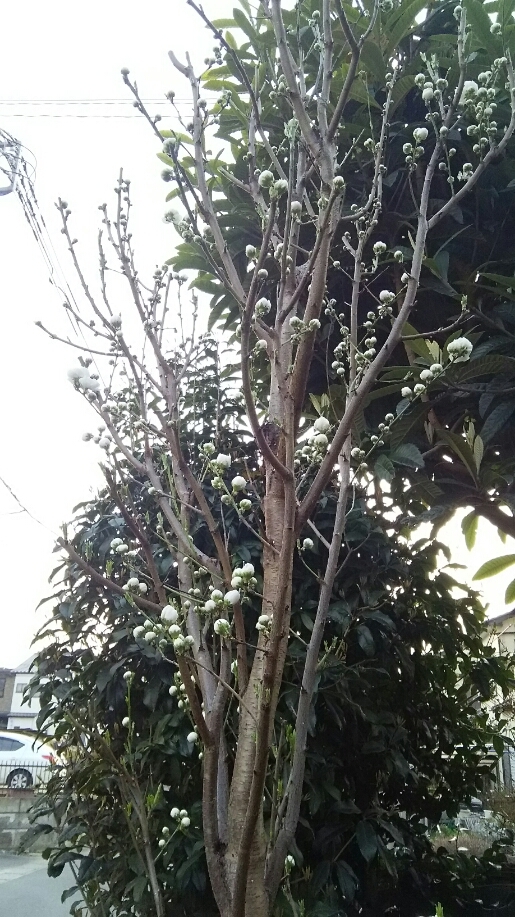 d0052263_22105821.jpg