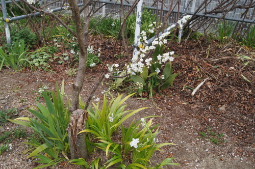 e0181373_21054910.jpg