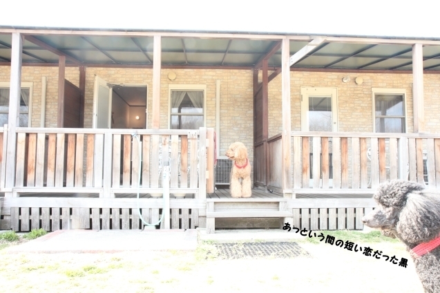 c0283778_17135790.jpg