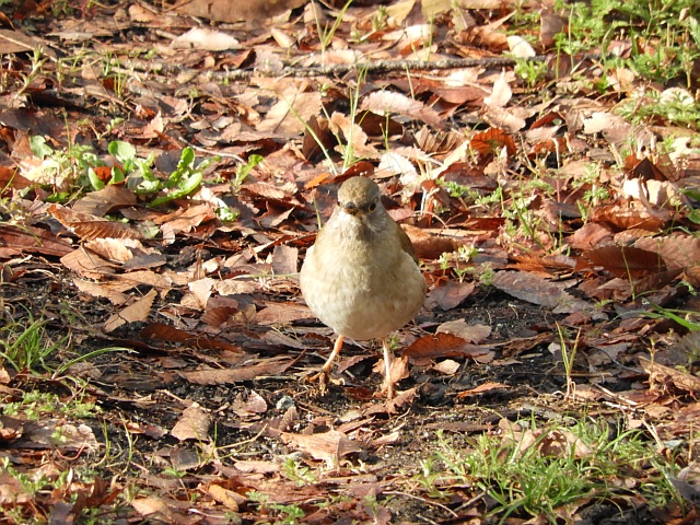 f0378979_14483925.jpg