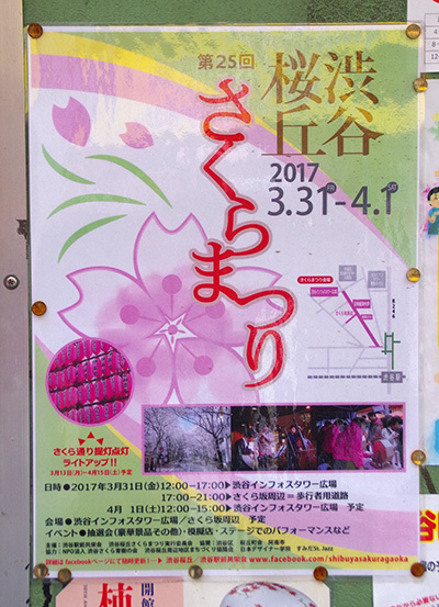 桜丘さくら祭_b0056983_14390435.jpg