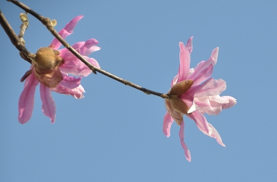 c0229483_21242749.jpg