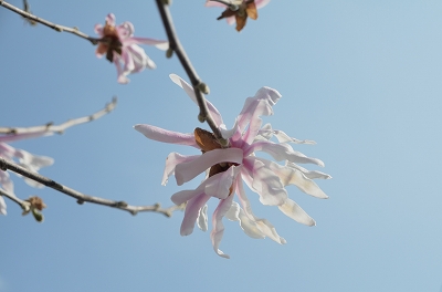 c0229483_214198.jpg