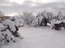 d0017084_8235231.jpg