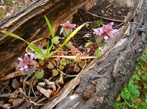 e0366084_13334919.jpg