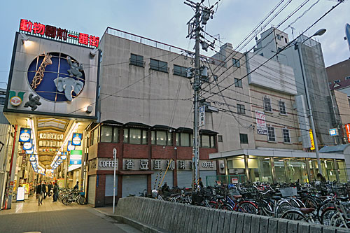 a0188487_10541737.jpg