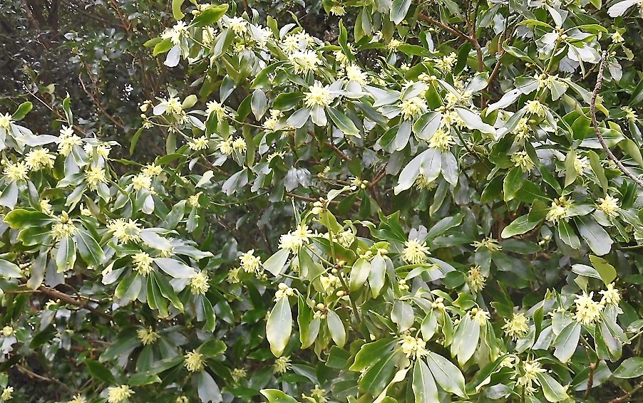 d0125589_12122776.jpg