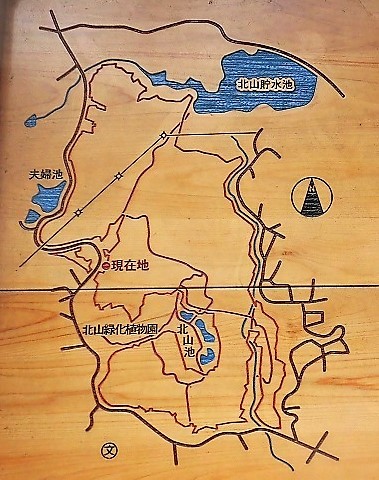 d0125589_12125052.jpg