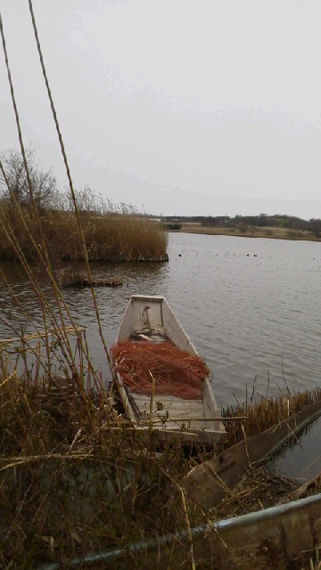 f0016892_1971747.jpg