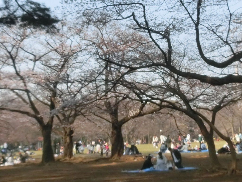 a0319693_885159.jpg