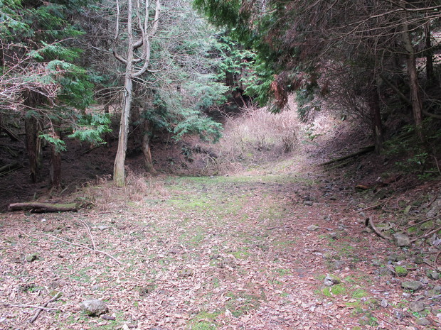 a0166196_1193097.jpg