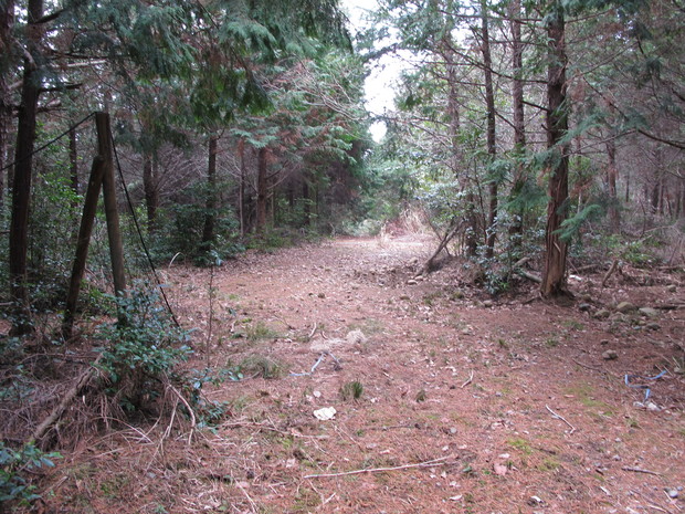 国東半島里山徘徊　②筧山　2017.3.30（木）_a0166196_156774.jpg