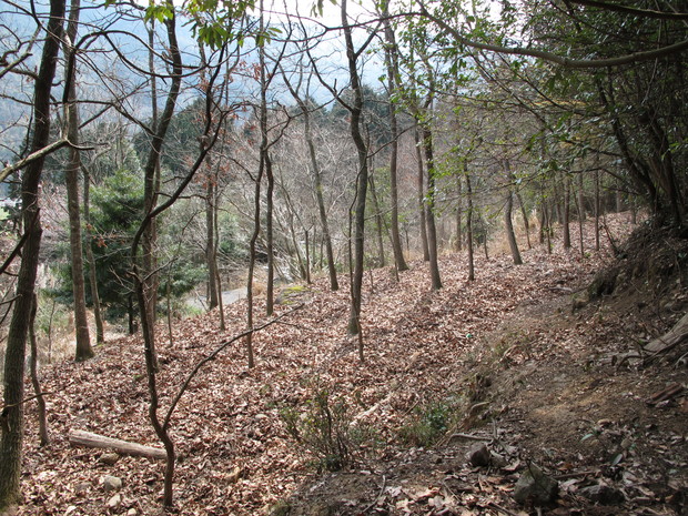 国東半島里山徘徊　②筧山　2017.3.30（木）_a0166196_1581833.jpg