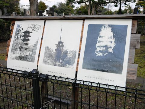 c0090198_16432531.jpg