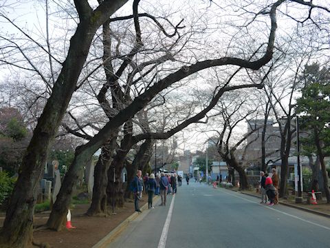 c0090198_16462686.jpg