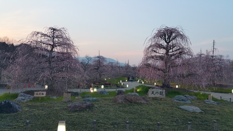 c0210803_1252133.jpg