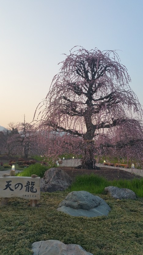 c0210803_12533820.jpg