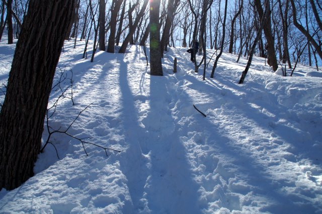 a0345007_2013015.jpg