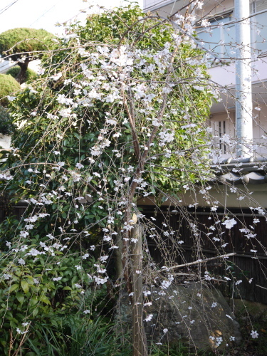 c0301808_23592461.jpg